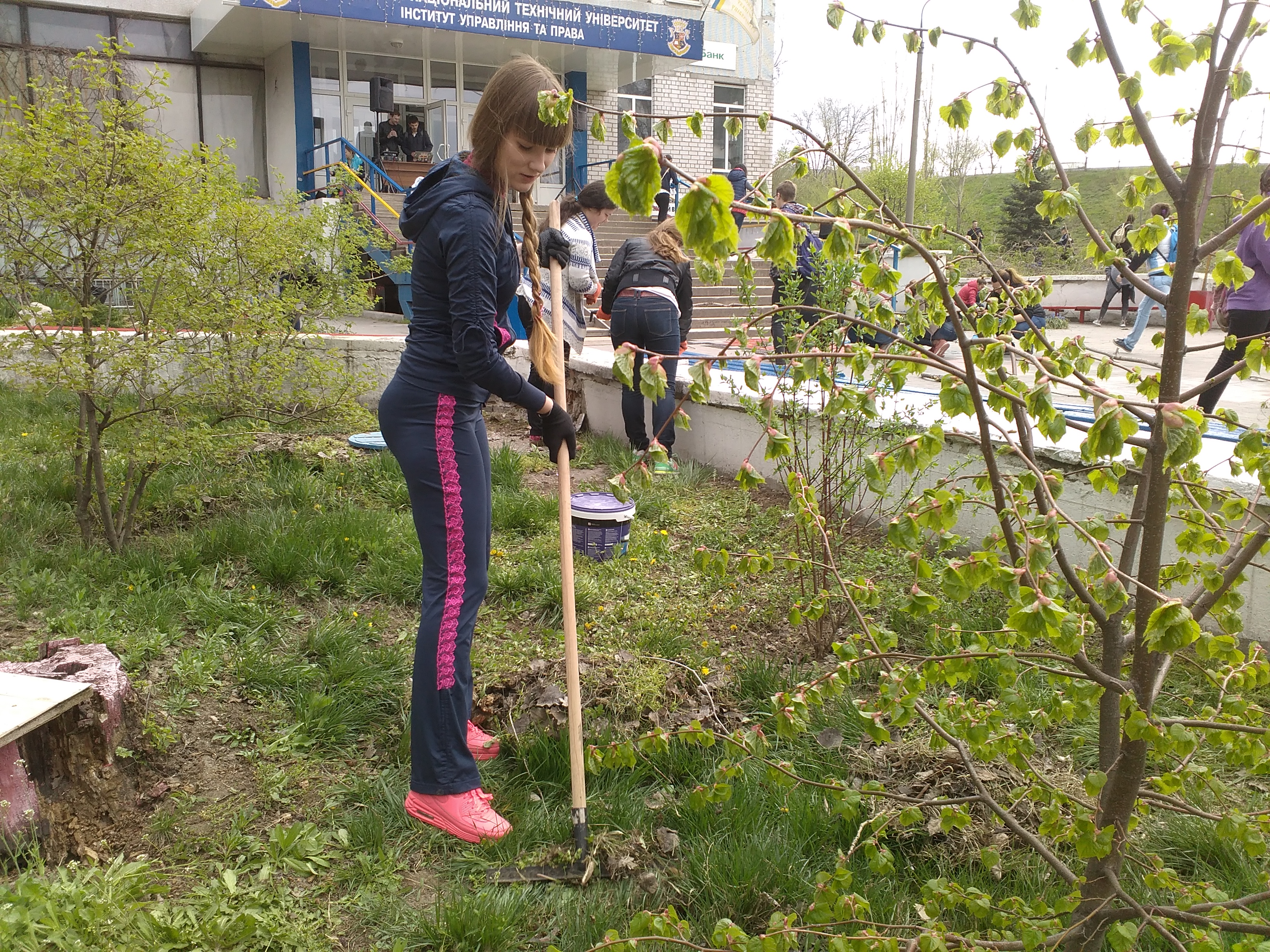 Альтернативна назва зображення